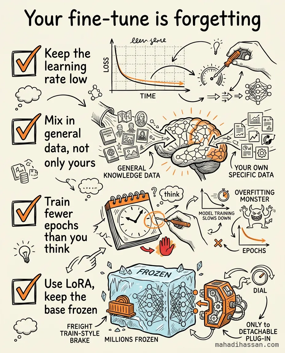 Hand-drawn infographic on catastrophic forgetting with four fixes: keep the learning rate low, mix in general data, train fewer epochs, and use LoRA with a frozen base